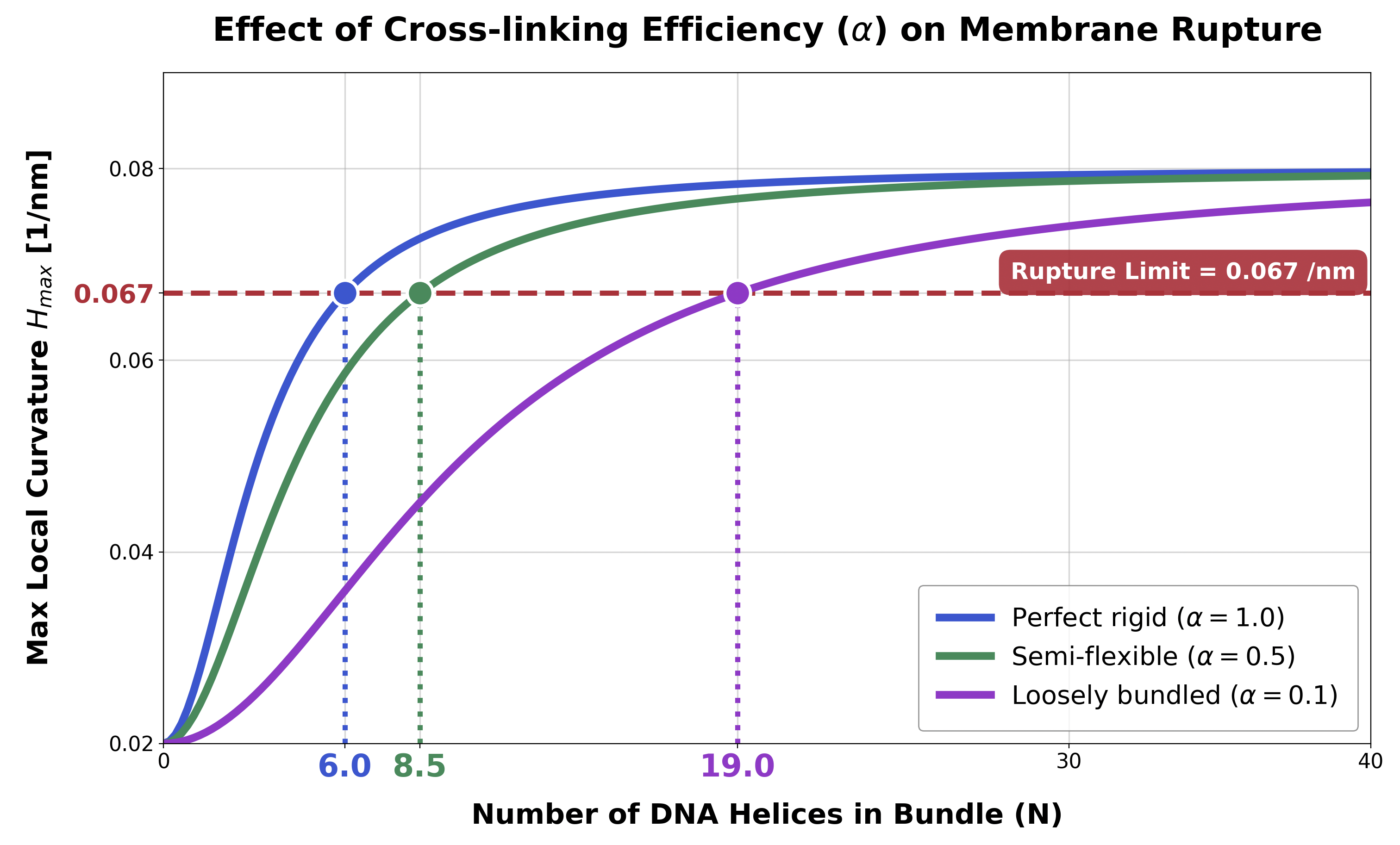 Similarity Effect Graph SIMULATION | BIOMOD 2026 Team Science Tokyo